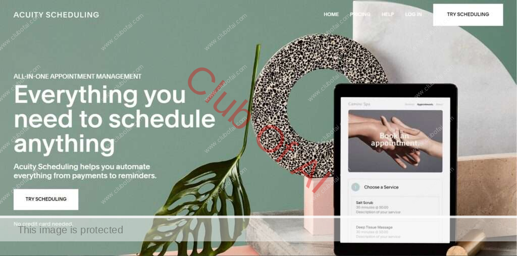 Acuity Scheduling : Time Management Tool